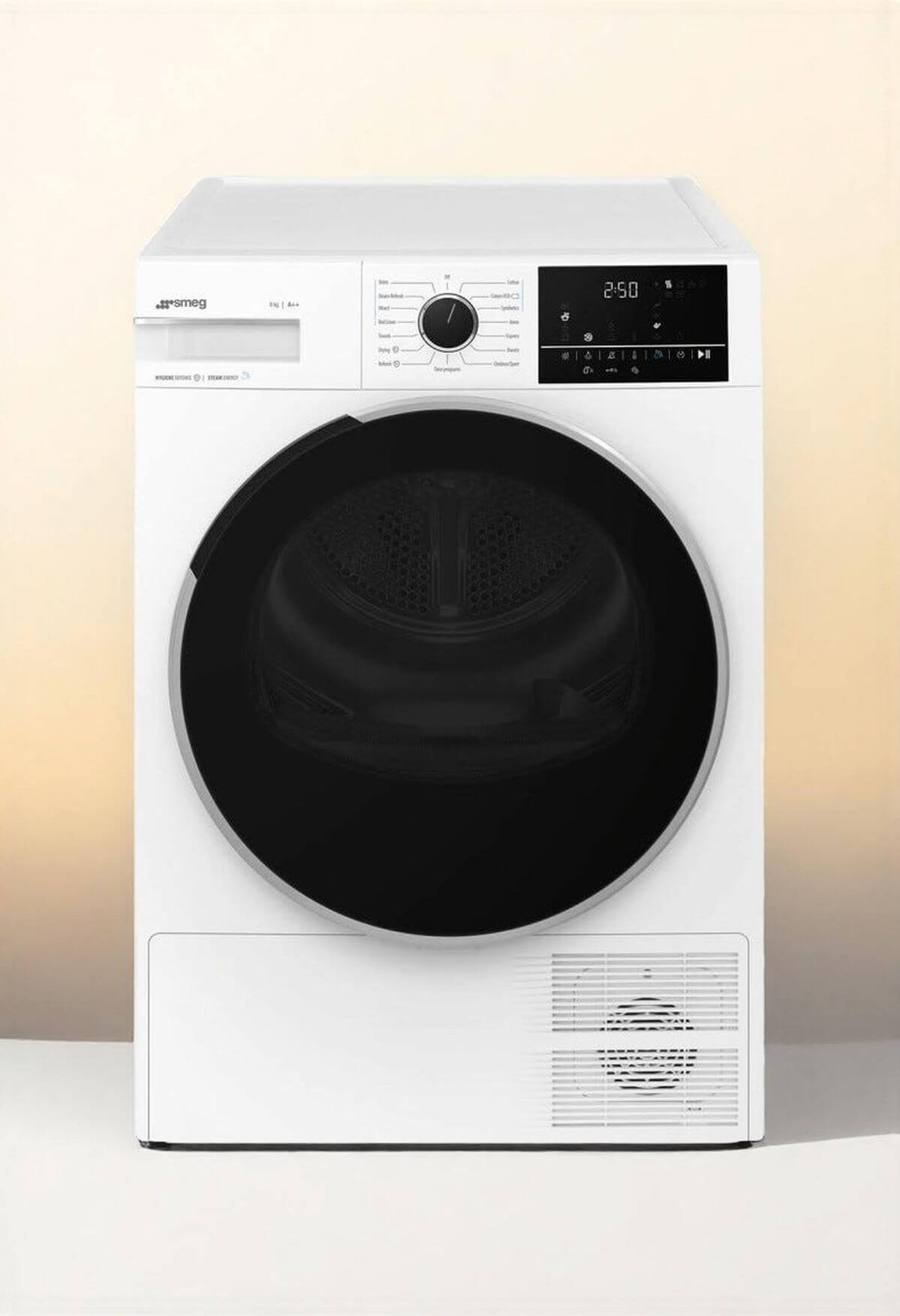 Smeg tumble dryer repair Cape Town