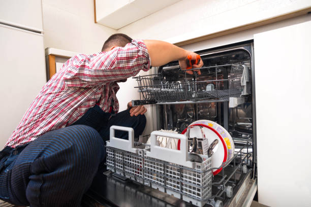Bosch Dishwasher repair Cape Town