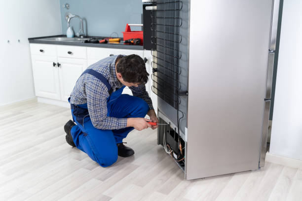 Bosch Fridge repair Cape Town